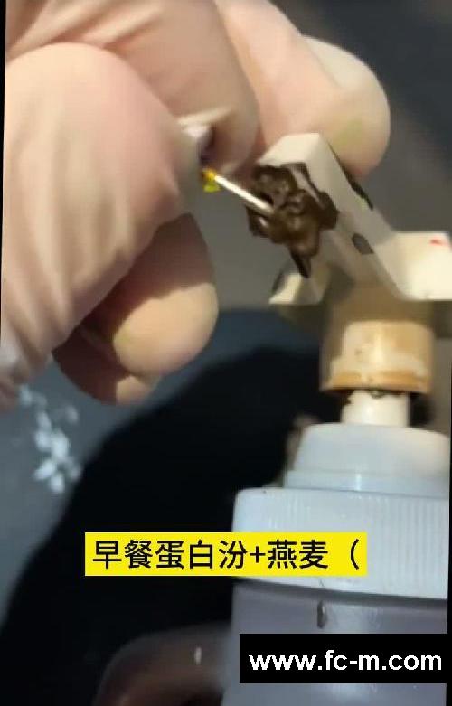 小基数瘦身塑形必吃