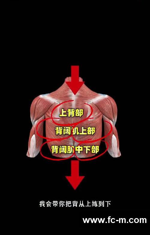 一周三练高效减脂1️⃣练背日 