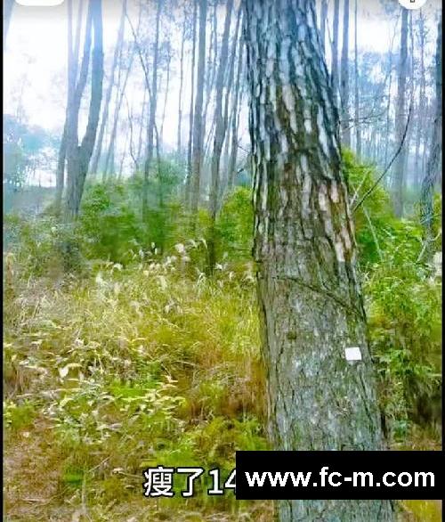 爬泰山真的可以减肥吗？