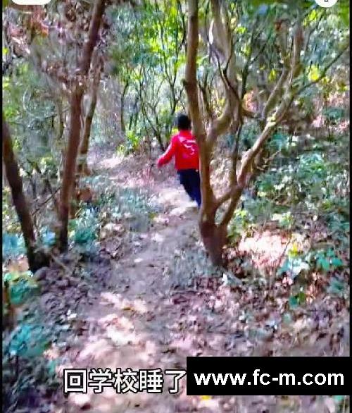 爬泰山真的可以减肥吗?