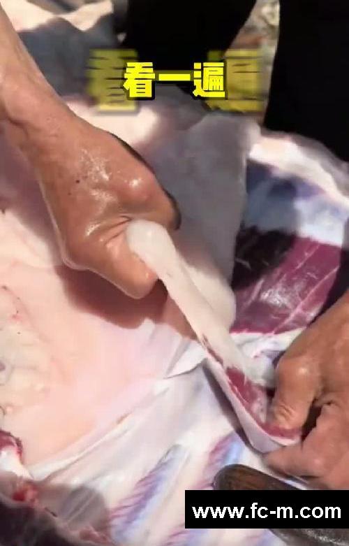 看完后…食欲真的消失了！！