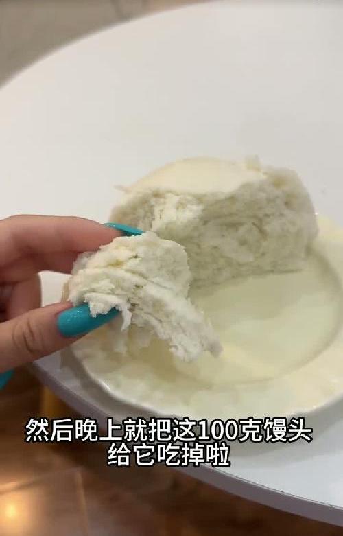 Day5|挑战一个月瘦10斤|连吃两天馒头瘦多少
