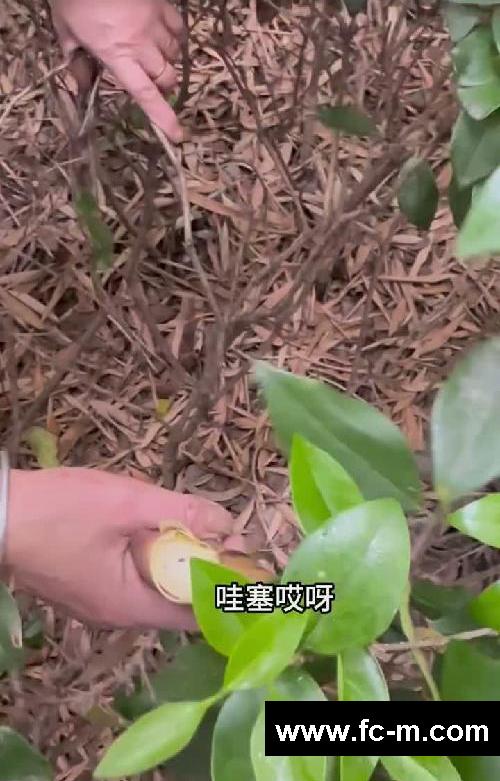 发疯减肥｜第一天｜挑战100斤瘦到89斤