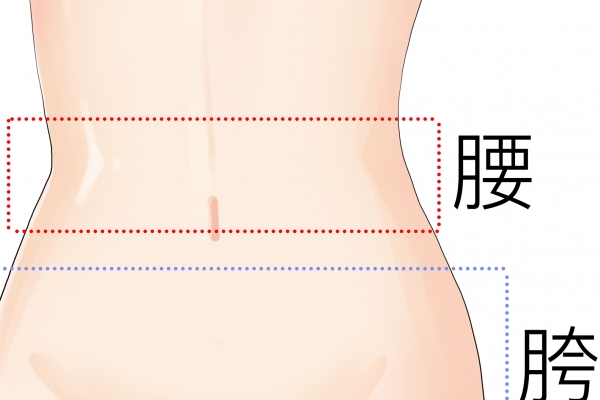 臀部减肥方法
