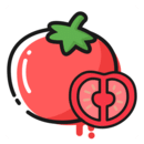 <strong>番茄轻断食 APP</strong>