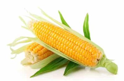 玉米健康减肥法食谱，懒人集中训练营